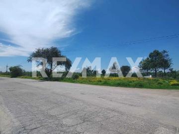 Terreno en Renta, Carretera Metepec Zacango, Calimaya, Estado de México