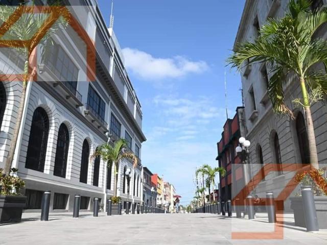 Terreno en renta Centro de Tampico