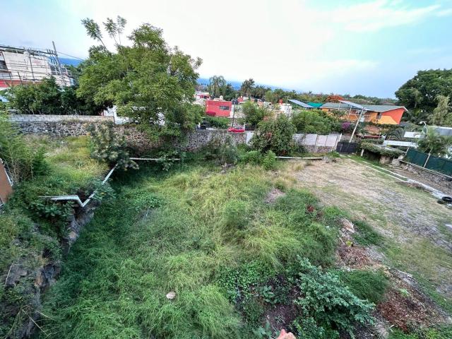 Terreno en renta, Col. Reforma, Cuernavaca