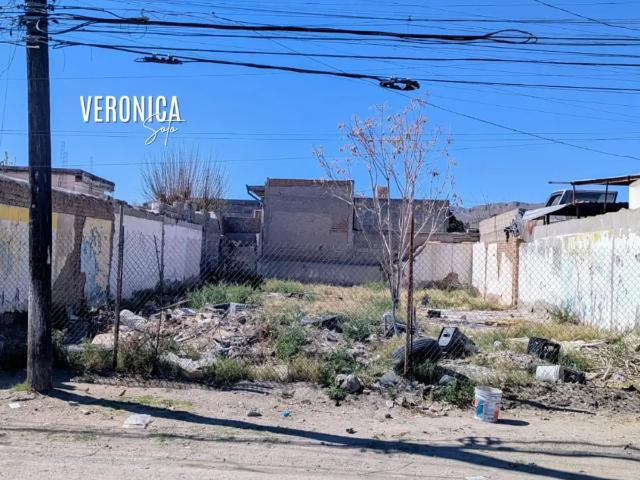 TERRENO EN RENTA – COLONIA ANÁHUAC