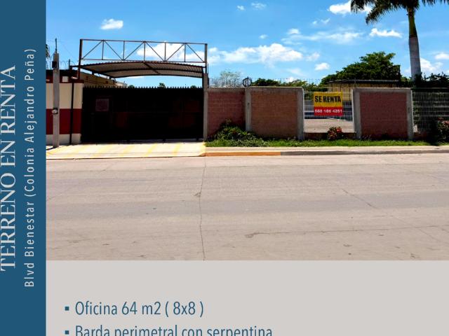 TERRENO EN RENTA COLINIA ALEJANDRO PEÑA