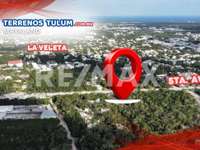 Terreno en Renta con Ubicación Premium en Tulum