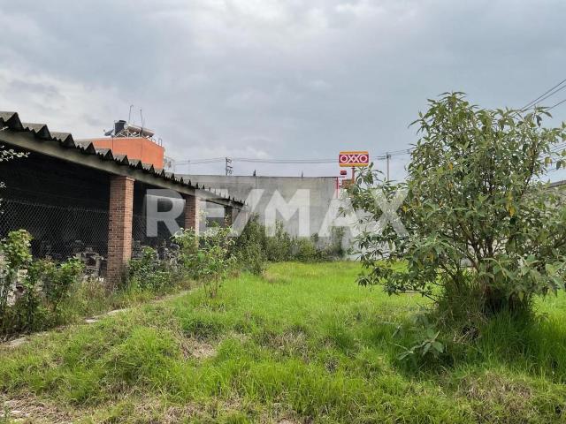 Terreno en Renta con oficinas en San Lorenzo Tepatitlán, Toluca, Estado de México