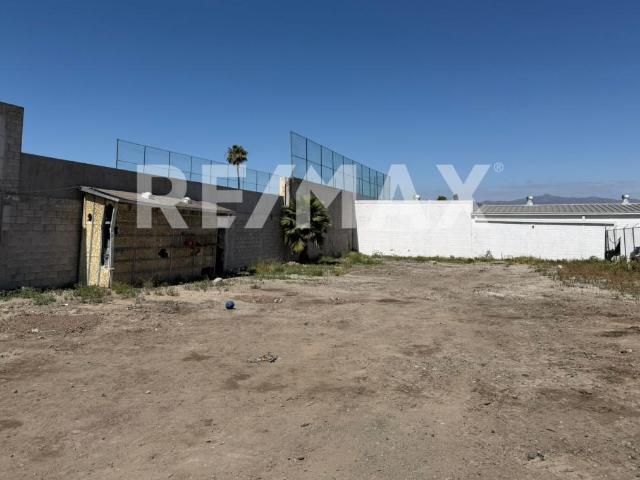 TERRENO EN RENTA DE 1,000 M2, EN LAS HUERTAS, TIJUANA B.C