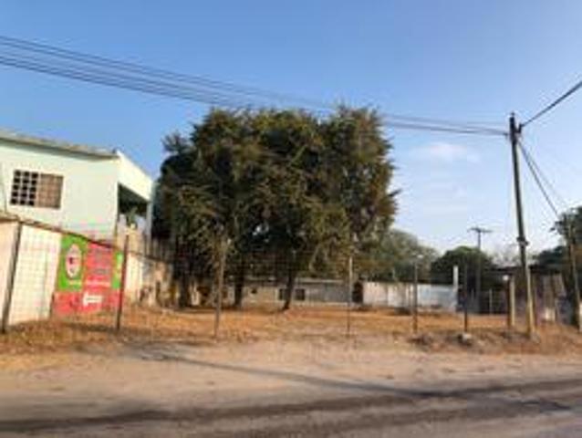 Terreno en Renta El Campo Tamuín