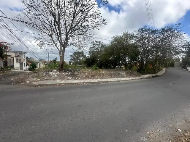 TERRENO EN RENTA Miradores Homex