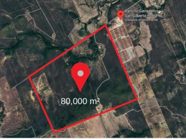 Terreno en Renta en Montemorelos Nuevo León