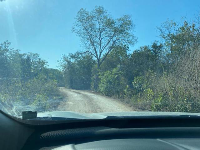 TERRENO EN RENTA EN AUTOPISTA MERIDA CANC?N KM 292!