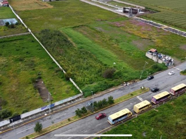 Terreno en Renta en Av. Uruapan, Metepec