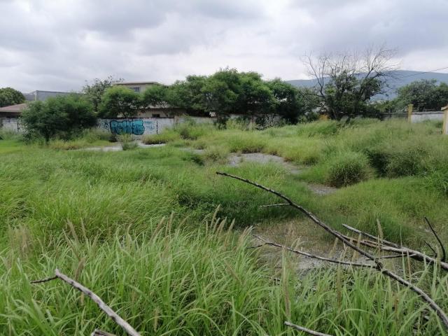Terreno en Renta en avenida importante en Escobedo Nuevo Le?n