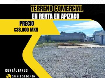 Terreno en renta en Apizaco gasera
