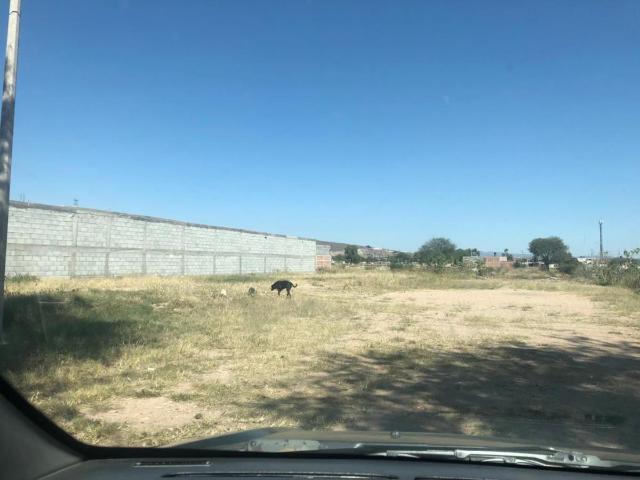 Terreno en renta en Arandas, Irapuato, Guanajuato