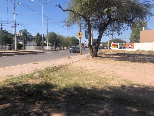 Terreno en renta en Arandas, Irapuato, Guanajuato