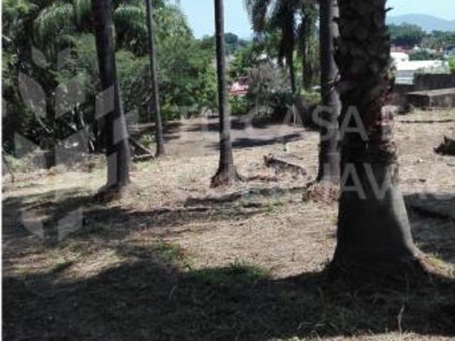 Terreno en renta en Cuernavaca Centro, Cuernavaca, Morelos