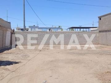 TERRENO EN RENTA EN Callejon Sinaloa, NUEVA ESPERANZA, MEXICALI,B.C