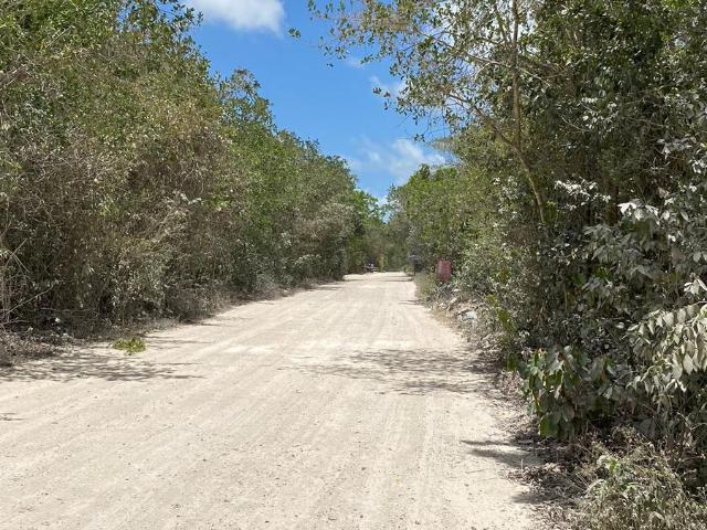 TERRENO EN RENTA EN CANCUN ATRAS DE SUMACASA HUAYACAN