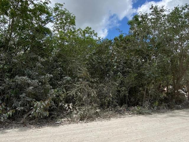 TERRENO EN RENTA EN CANCUN ATRAS DE SUMACASA HUAYACAN