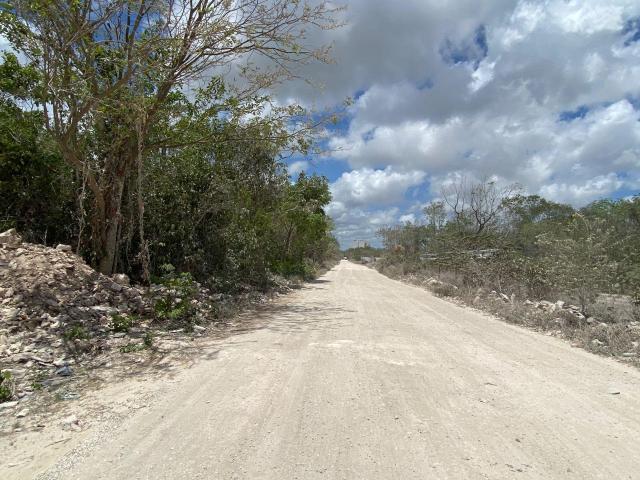 TERRENO EN RENTA EN CANCUN ATRAS DE SUMACASA HUAYACAN