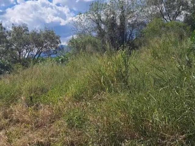 Terreno en renta en Carretera Nacional en Allende