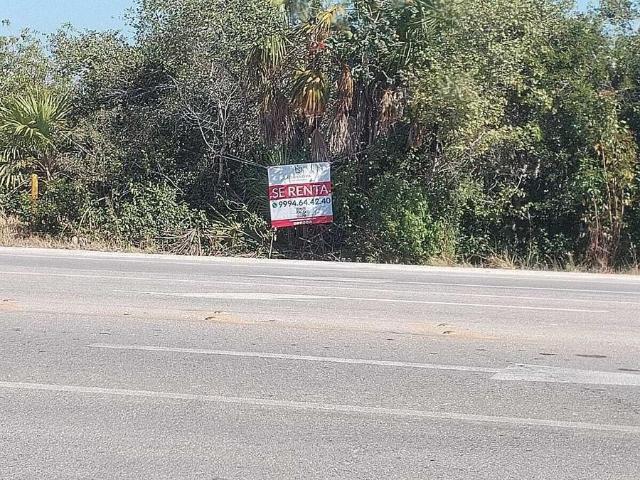 Terreno en Renta en Chicxulub Pueblo, M?rida