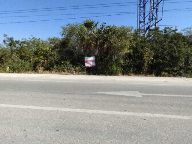 Terreno en Renta en Chicxulub Pueblo, M?rida