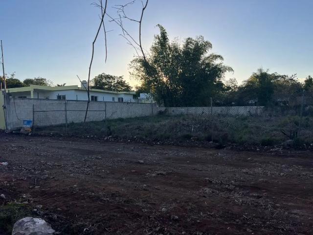 TERRENO EN RENTA en chichi suarez