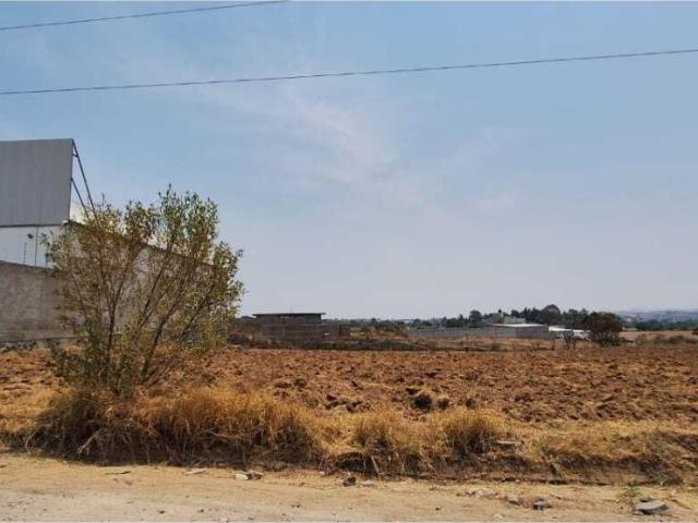 Terreno en renta en Chipilo de Francisco Javier Mina, San Gregorio Atzompa, Puebla