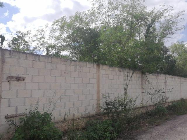 | Terreno en Renta en Cholul |