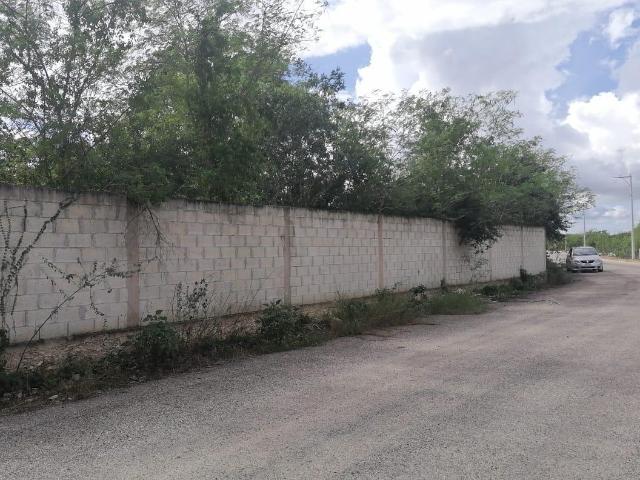 | Terreno en Renta en Cholul |