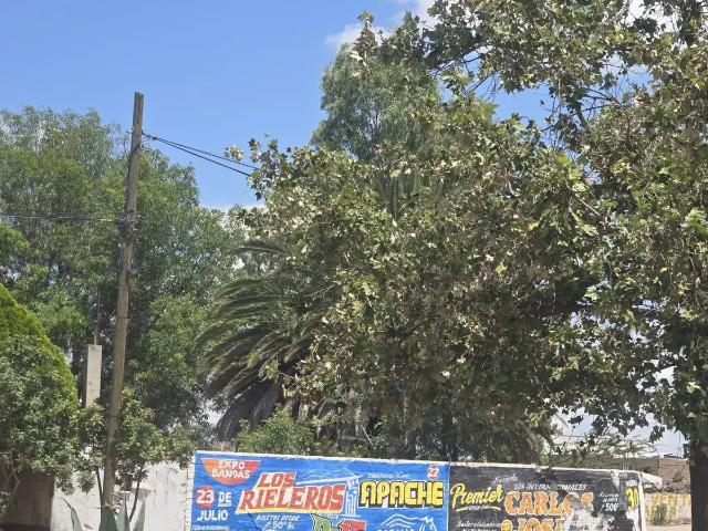 Terreno en Renta en Col. 20 de Noviembre Durango