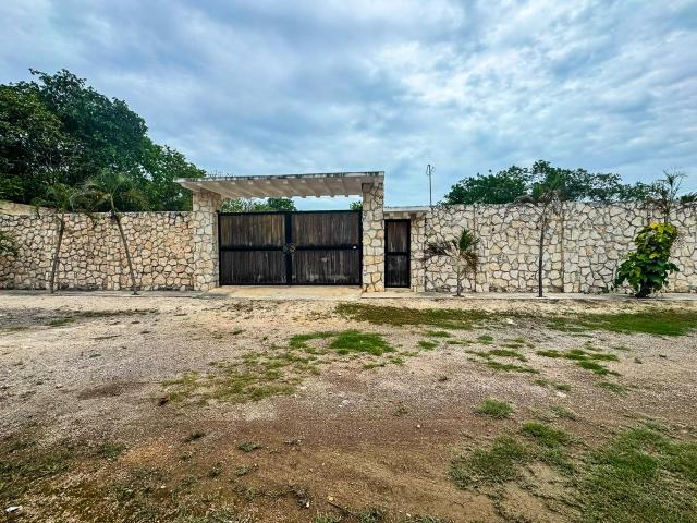 Terreno En Renta En Colonia Doctores