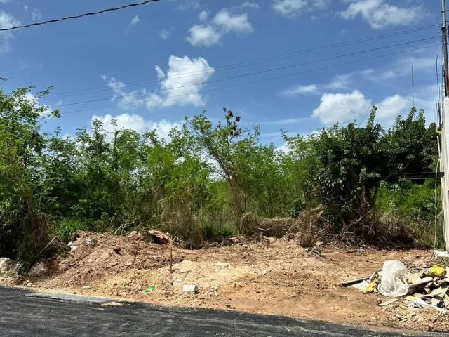 TERRENO EN RENTA EN CONKAL EN MÉRIDA YUCATÁN
