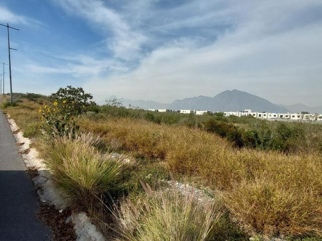 TERRENO EN RENTA EN DOMINIO CUMBRES