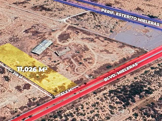 Terreno en renta en Ejido San Miguel, Matamoros, Coahuila de Zaragoza