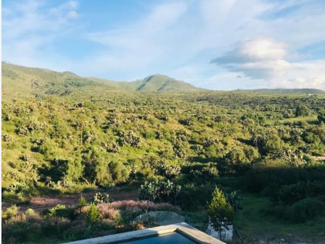 Terreno en renta en El Contza, Santiago de Anaya, Hidalgo