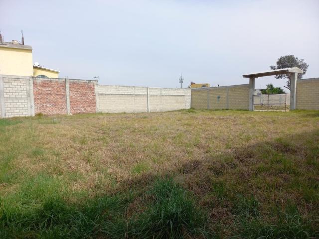 Terreno en renta en el Llano de la Y, Temoaya, Estado de M?xico