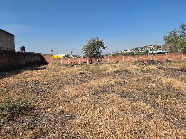 Terreno en Renta en Emiliano Zapata