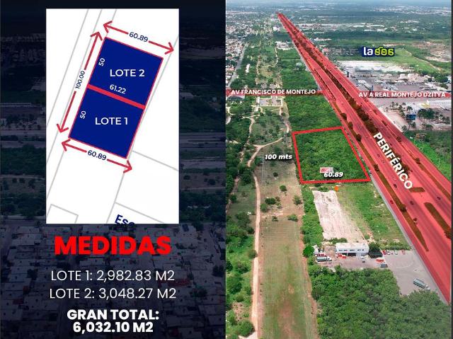 Terreno en Renta en Francisco de Montejo, M?rida Yucat?n