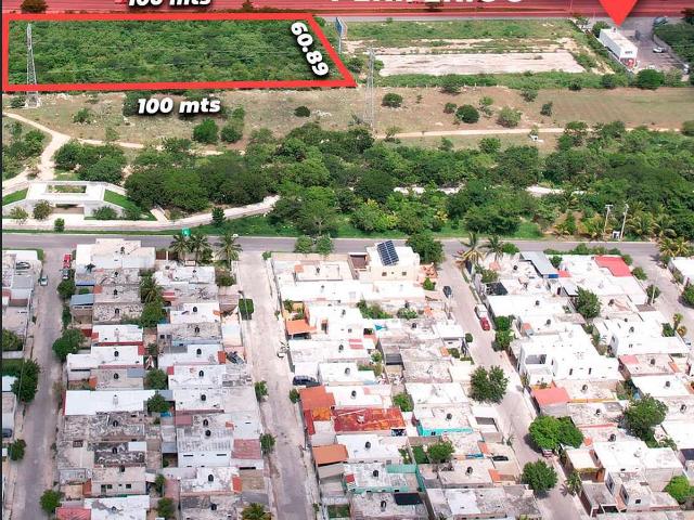 Terreno en Renta en Francisco de Montejo, M?rida Yucat?n