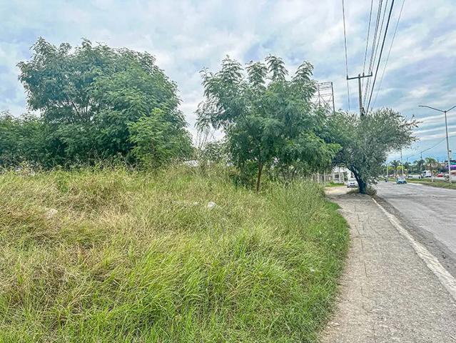 Terreno en Renta en Juarez