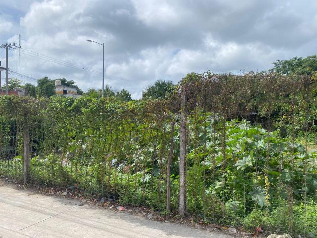 Terreno en renta en la calle 11 sur