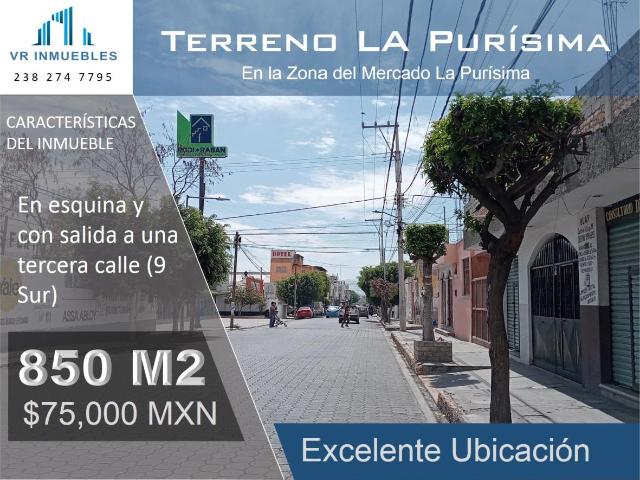 Terreno en renta en La Purisima, Tehuacán, Puebla