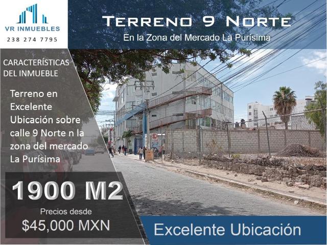 Terreno en renta en La Purisima, Tehuacán, Puebla