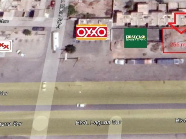 Terreno en renta en La Palma, Torreón, Coahuila de Zaragoza
