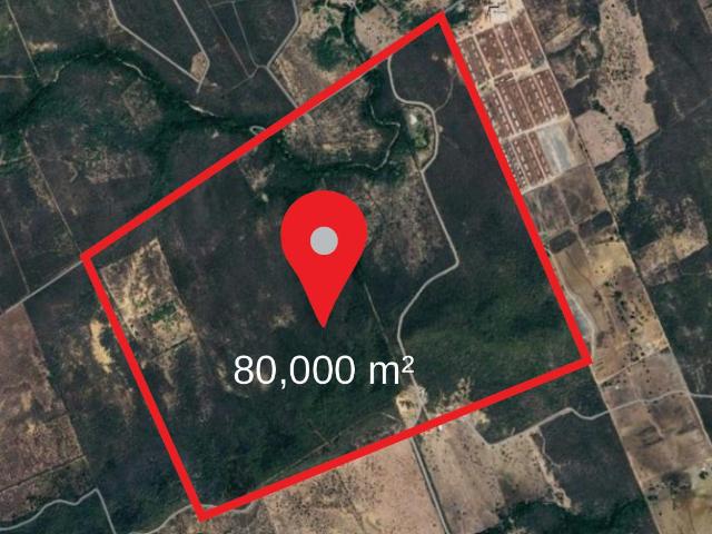 Terreno en renta en Las Querencias en Montemorelos