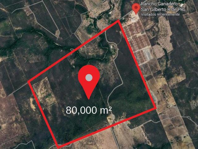 Terreno en renta en Las Querencias en Montemorelos