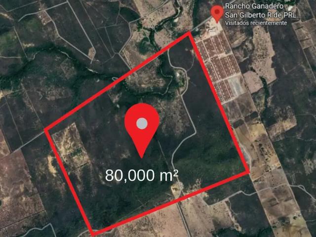 Terreno en renta en Las Querencias en Montemorelos