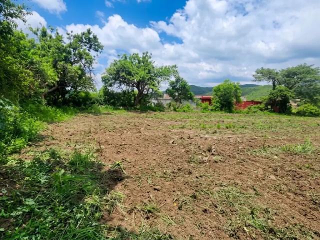 TERRENO EN RENTA EN PUEBLA ZONA HUAQUECHULA