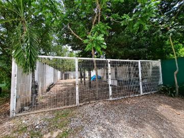 Terreno en renta en Playa del Carmen