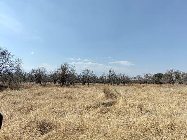 Terreno en renta en Real de Huejotzingo, Huejotzingo, Puebla